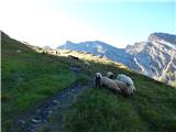 Pfitscher Tal / Val di Vizze - Hochfeilerhütte